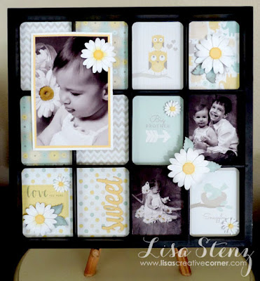 Georgie PML Display Tray