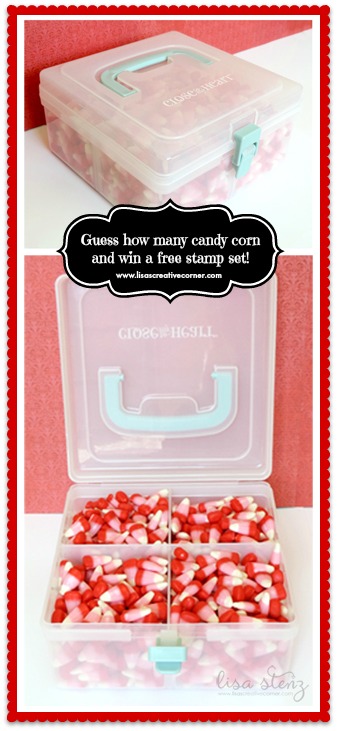Organizers and Valentine’s Giveaway!