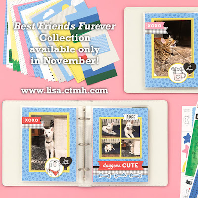 November Specials and Promotions