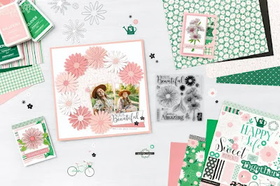 February Specials and Promotions