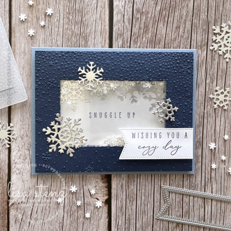 See Through Shaker Card