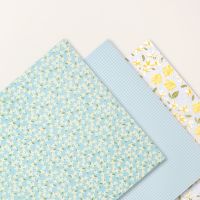Floral & Gingham Vellum 12" X 12" (30.5 X 30.5 Cm) Specialty Designer Series Paper Floral & Gingham Vellum 12" X 12" (30.5 X 30.5 Cm) Specialty Designer Series Paper