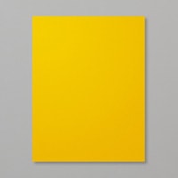 Crushed Curry 8-1/2" X 11" Cardstock Crushed Curry 8-1/2" X 11" Cardstock