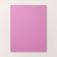 Petunia Pop 8 1/2" X 11" Cardstock [ 163801 ]