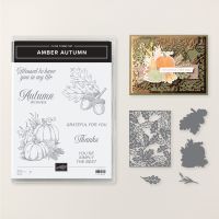 Amber Autumn Bundle (English) [ 165893 ]