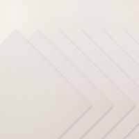 Vellum 12" X 12" (30.5 X 30.5 Cm) Specialty Paper [ 167099 ]