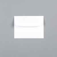 Basic White Medium Envelopes [ 159236 ]