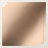Earthen Toned Metallic 12" X 12" (30.5 X 30.5 Cm) Specialty Paper [ 165901 ]