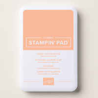 Crisp Cantaloupe Classic Stampin Pad [ 167680 ]
