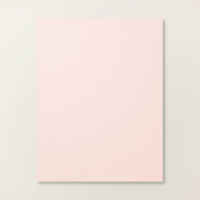 Barely Blush 8 1/2" X 11" Cardstock [ 167689 ]