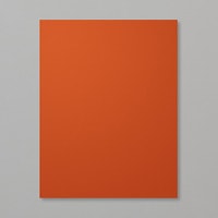 Cajun Craze 8-1/2" X 11" Cardstock [ 119684 ]
