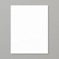 Basic White 8 1/2" X 11" Thick Cardstock [ 159229 ]